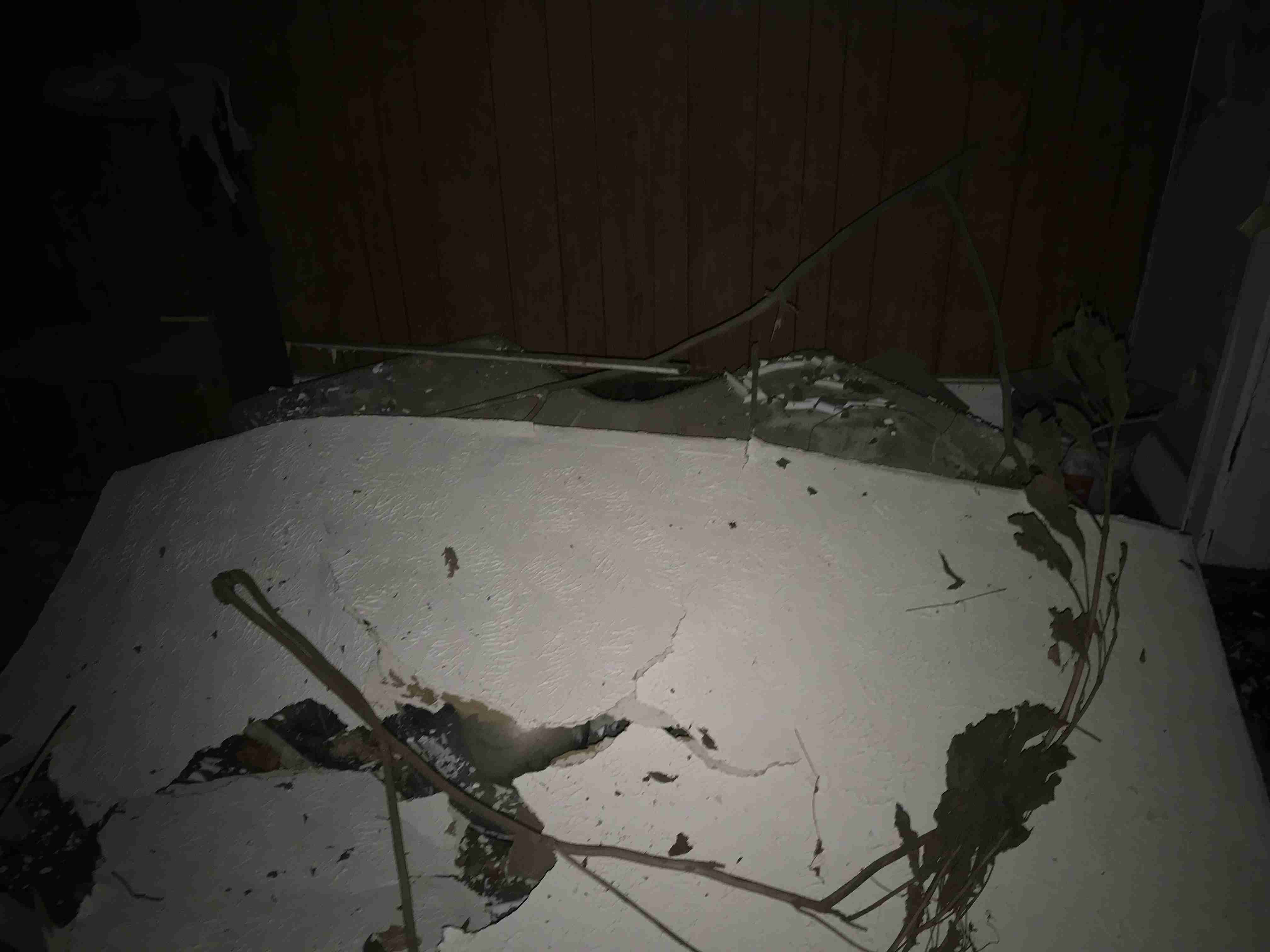 Photo Aug 20, 10 17 59 AM.jpg